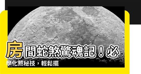 蛇煞化解方式|【室外蛇煞】室外蛇煞不可小覷！教你避開風水上的毒蛇煞！